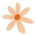 Flora flower